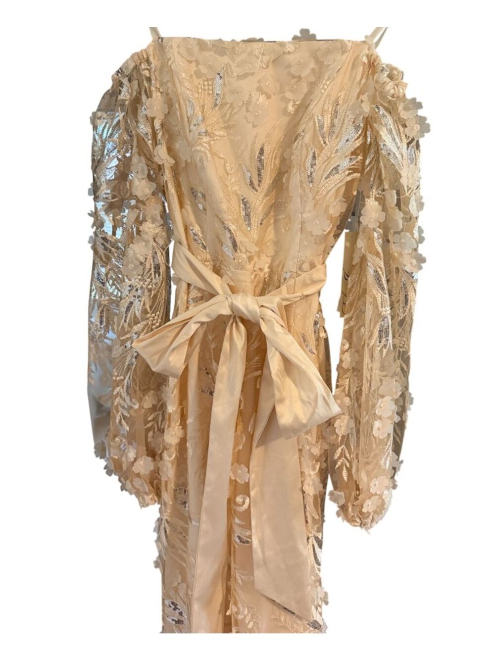 Eliza J Ivory Sequin Embroidered Balloon-Sleeve Gown Dress Size 6 NWT - Picture 3 of 13